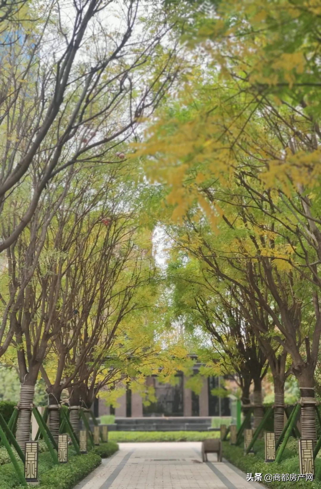 瀹炴帰鎴愮啛鏉垮潡,瀹炴帰杩愭渤鏂板煄鏉垮潡