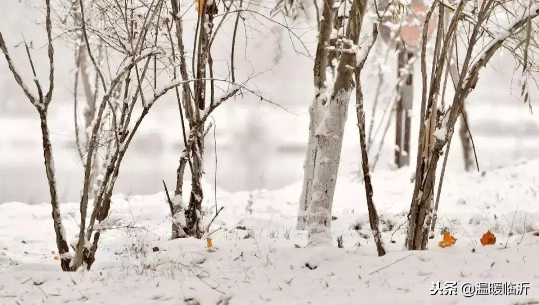 雪后的临沭小城，美得令人窒息