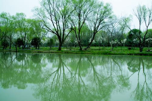 古典诗词鉴赏尔雅答案,古典诗词鉴赏辞典
