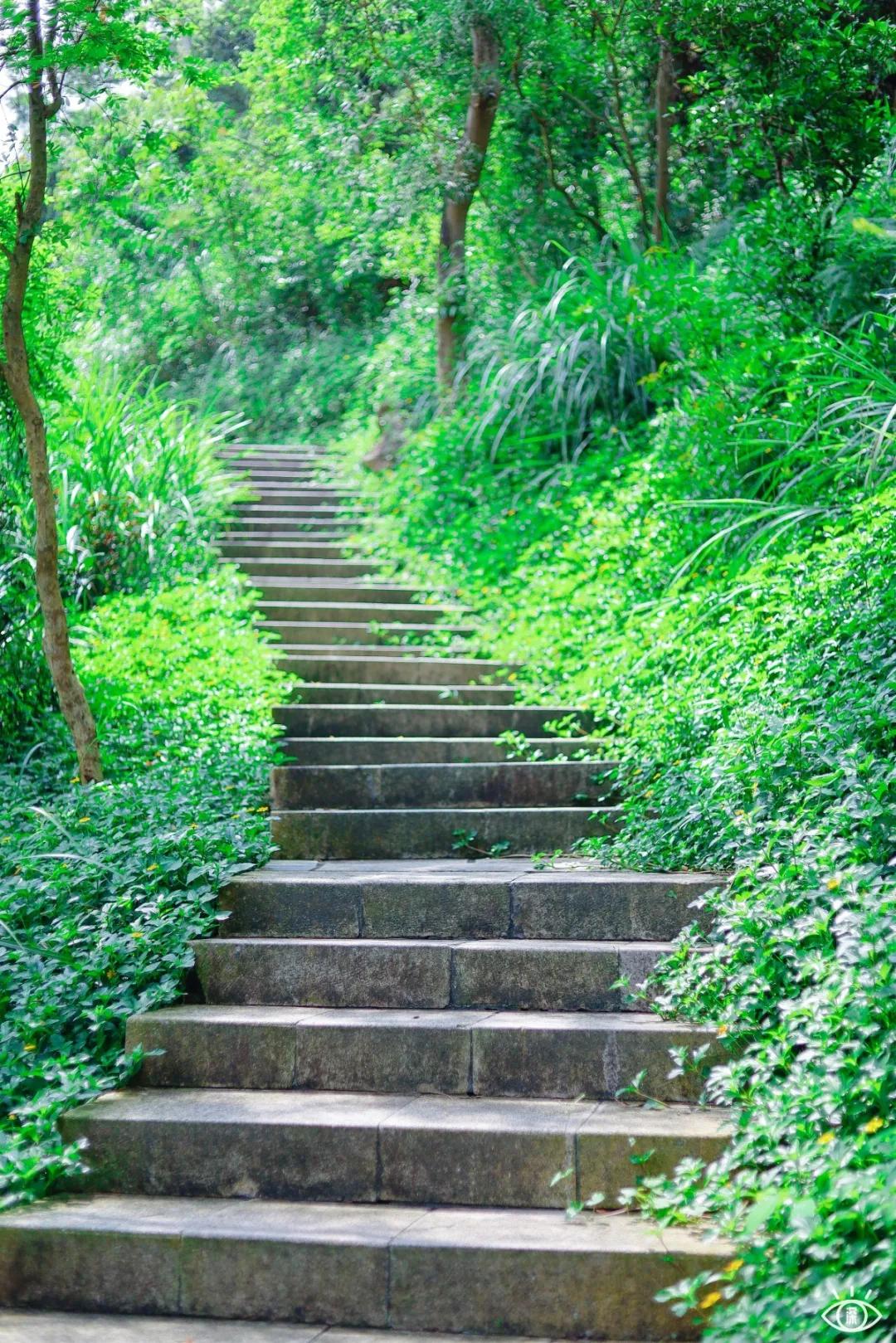 深圳宝藏公园风景图片,深圳宝藏自然游乐区