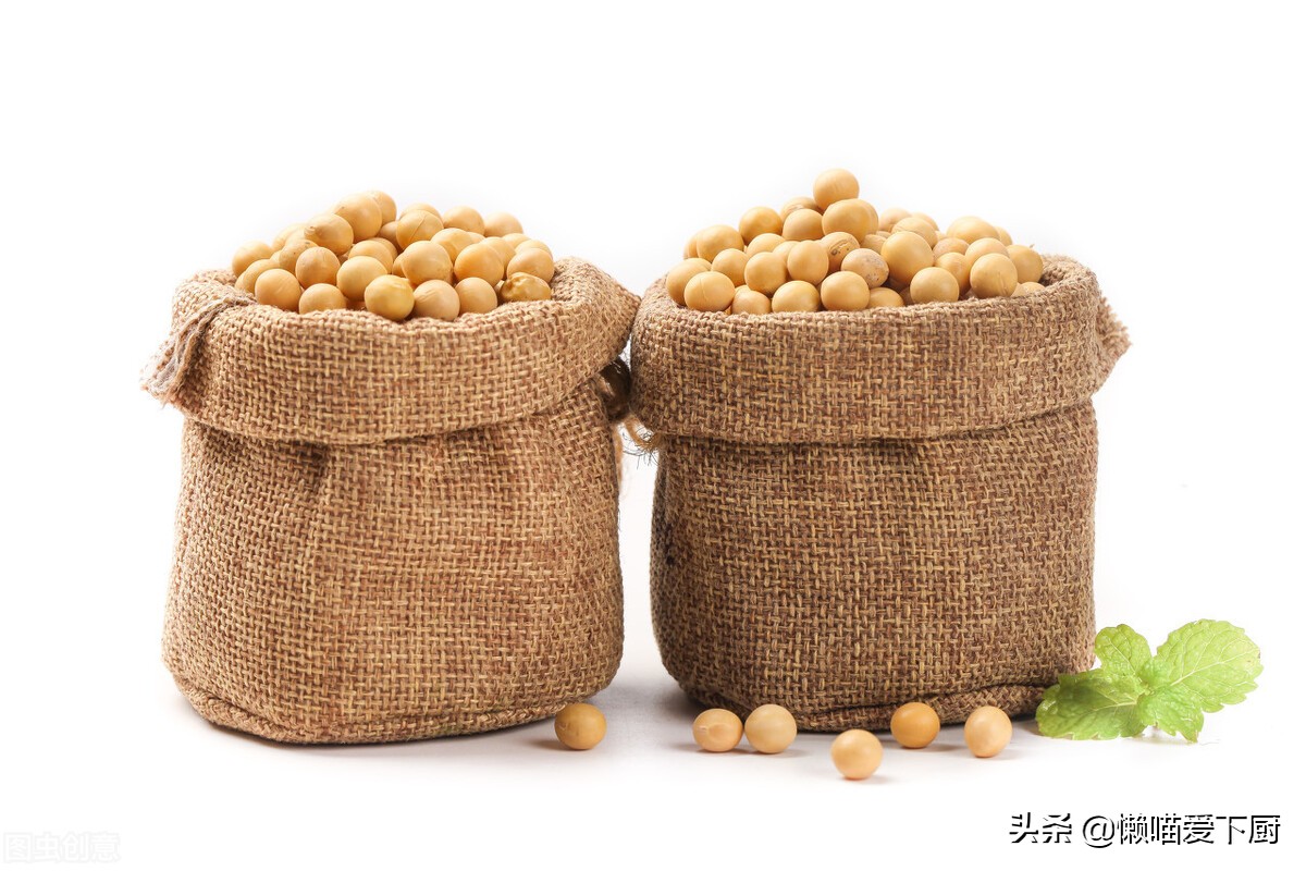 转基因大豆和非转基因大豆哪个好,非转基因大豆和转基因大豆区别