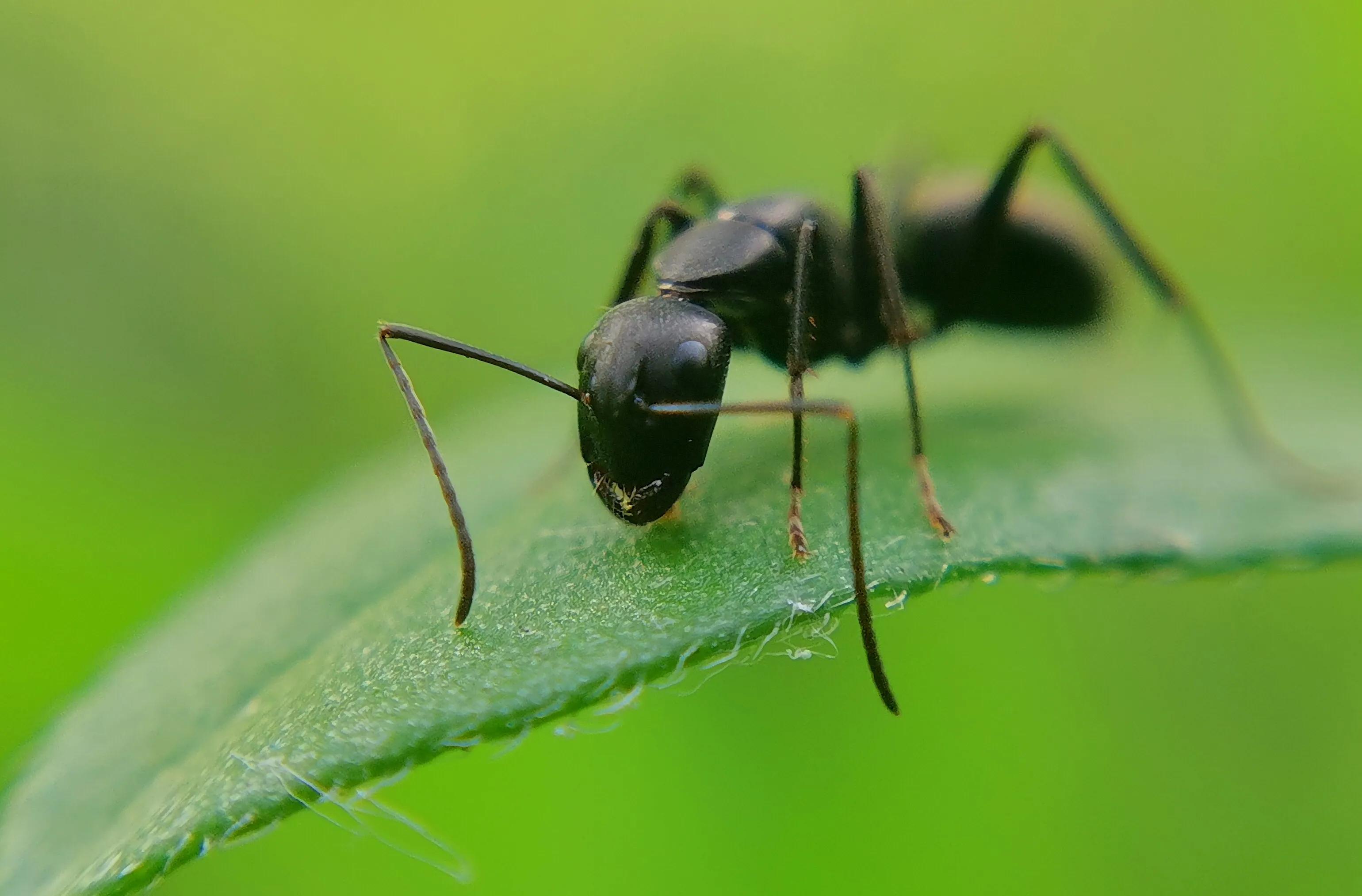 手拍世界手机摄影平台,手机摄影作品集大全集