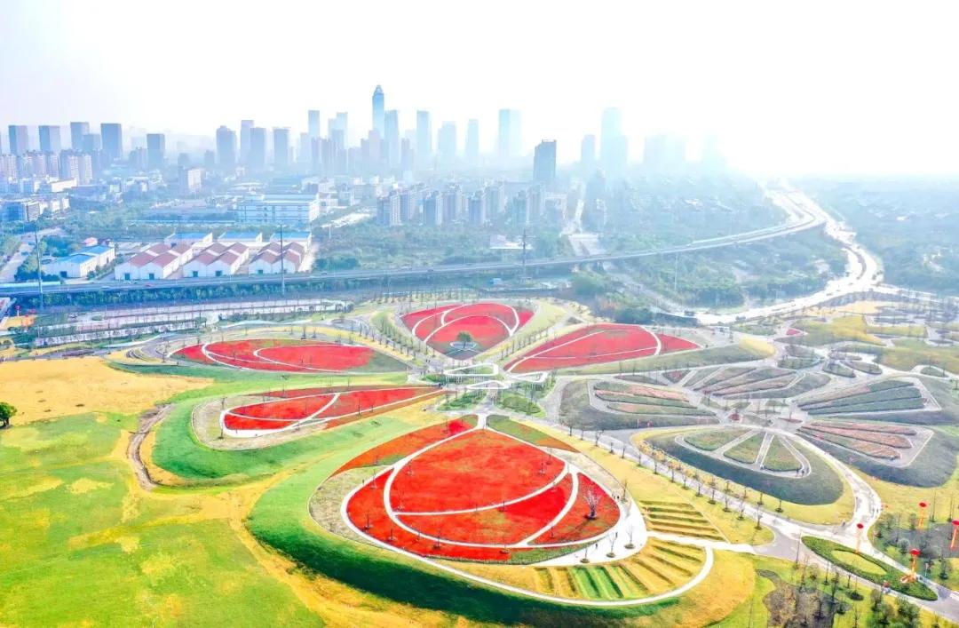 中建八局公司排行榜前十名,中建八局长三角总部基地