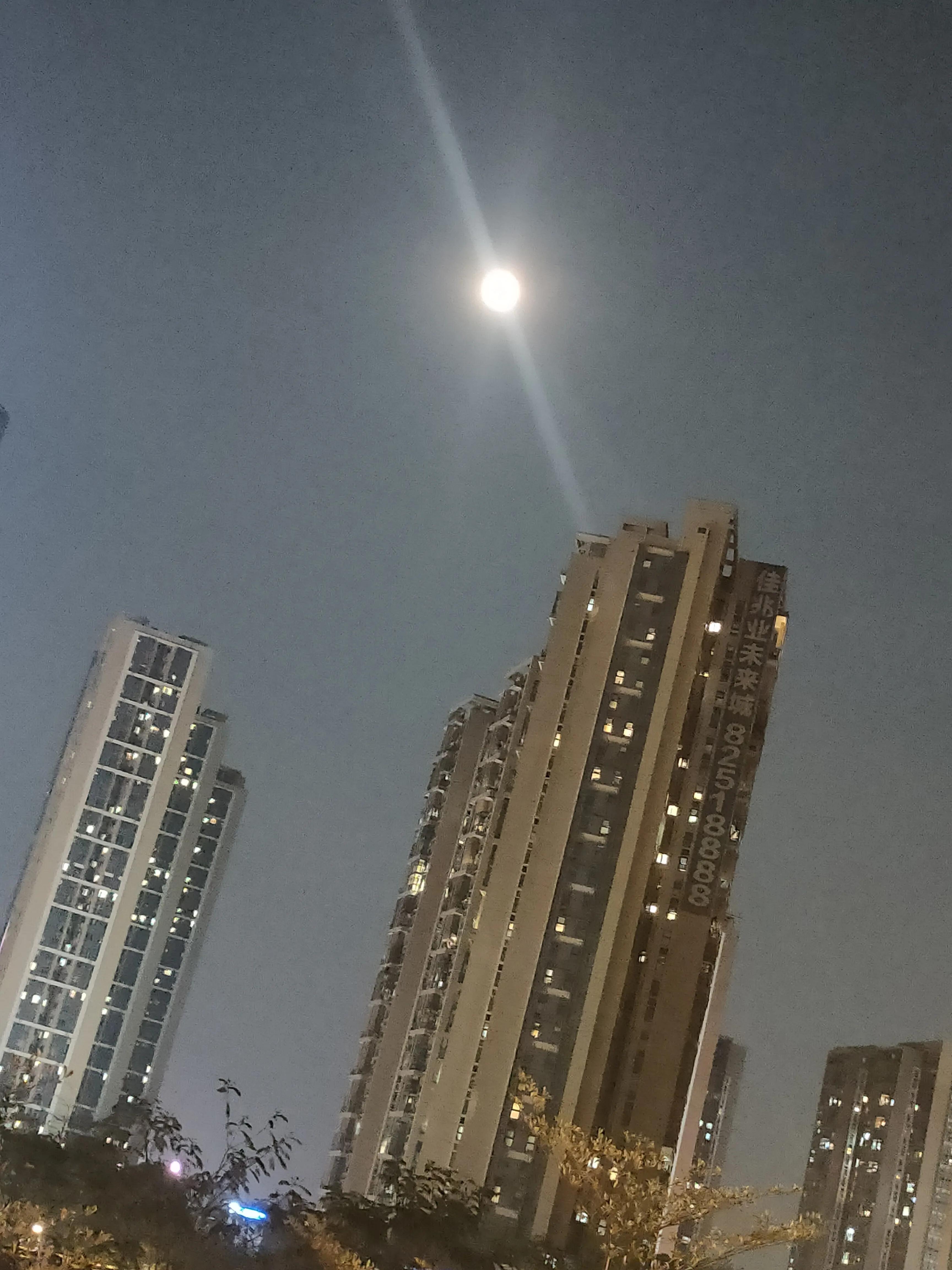 偌大的城市我的栖身之处在何处,偌大的城市容不下一个漂泊的灵魂