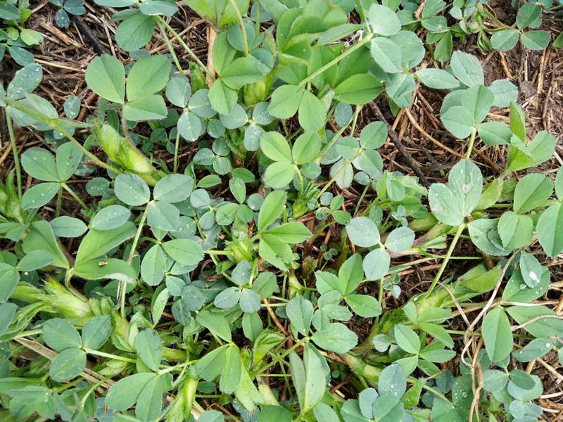 我与父母的一段往事,我和我的父辈四个故事分别简介