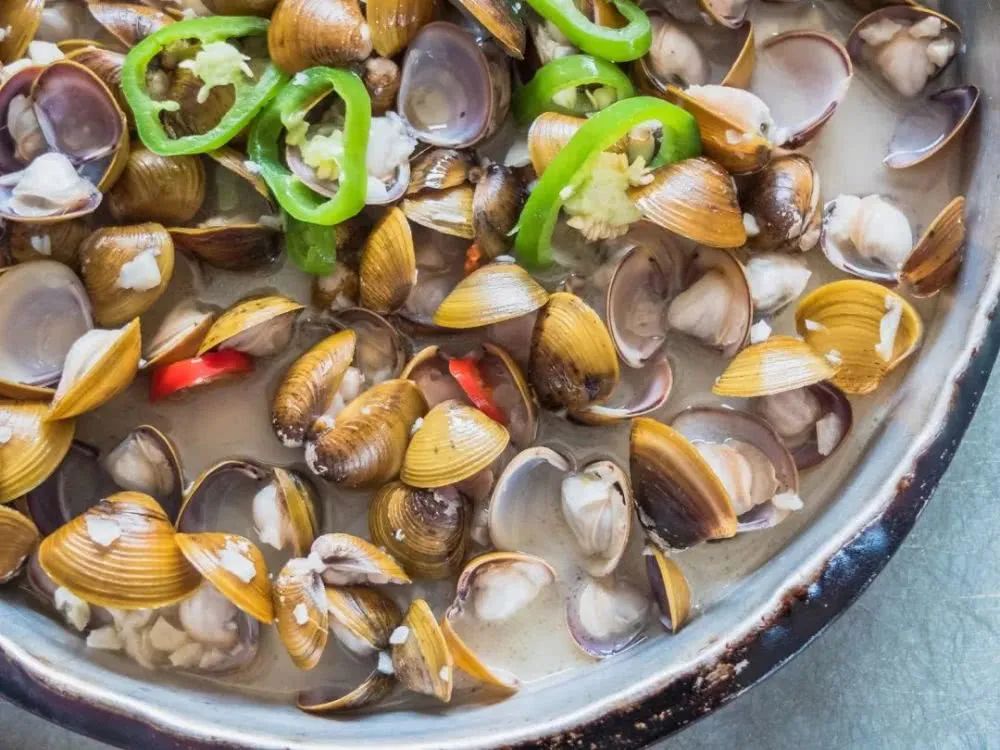 蛤蜊、蛏子、毛蚶、蚬子，那些好吃的小贝壳，今天一次搞清楚