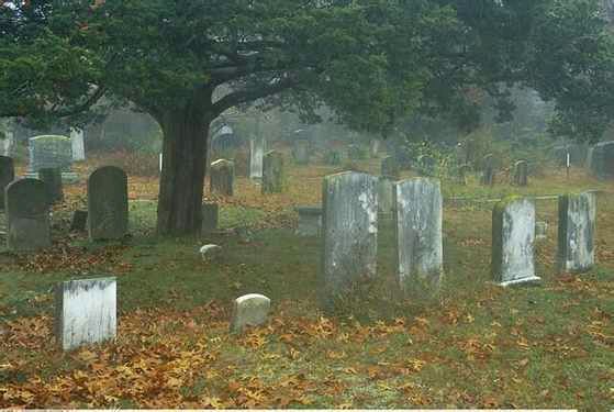 神秘海底生物未解之谜大记录,迷你世界神秘生物未解之谜