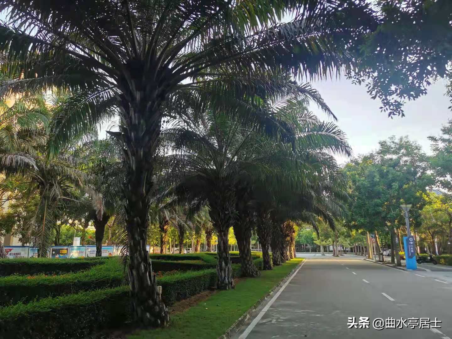 三亚和海口夏天谁最热,西双版纳和三亚哪个地方夏天热