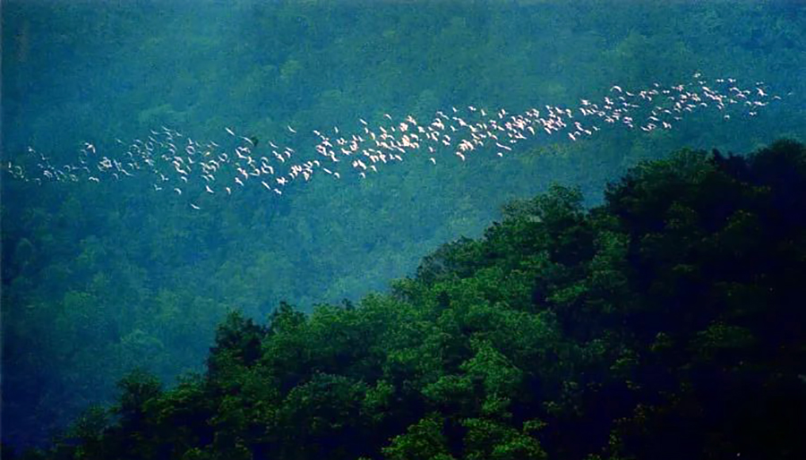 广州南岭群山腹地,广州花都区最具潜力发展区