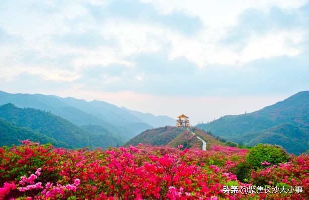 湖南省浏阳市有多少个镇,湖南省浏阳曾经是个市吗