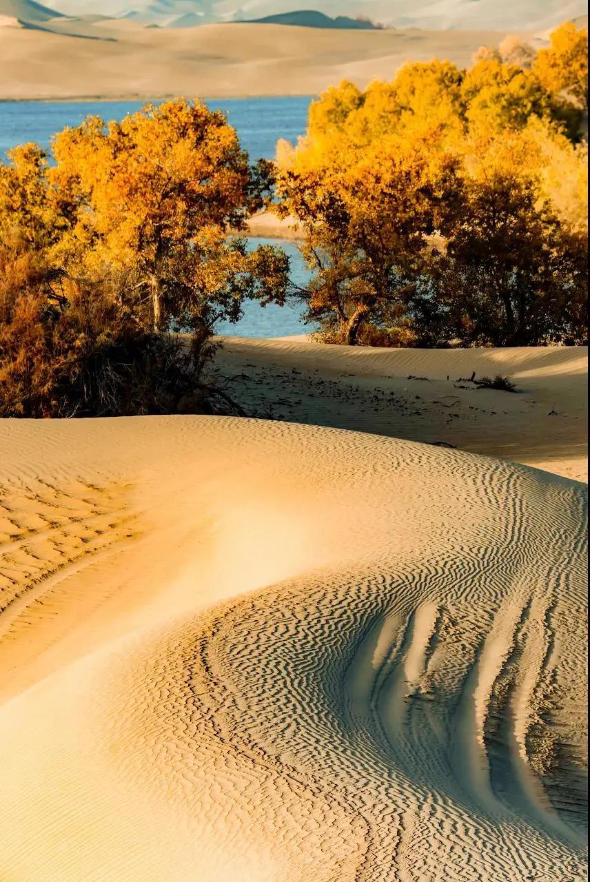 终于攒够了年假,年假怎么攒