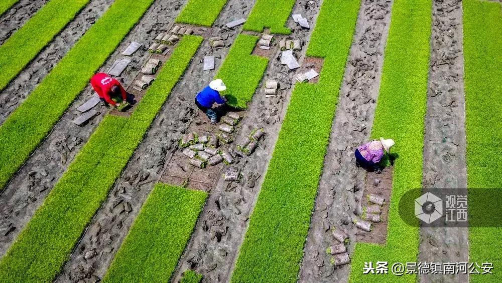 深度剖析江西老表！这位副省级领导的雄文，曾刷屏10w+！如今再推巨著……