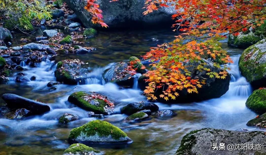 这份攻略带你走进最佳赏枫地,四大赏枫胜地你最想打卡哪个