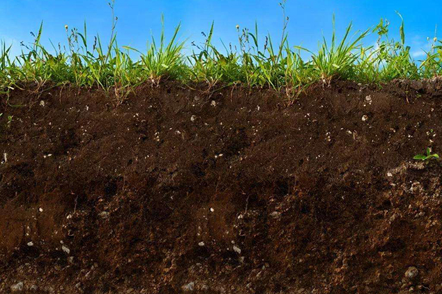 土壤肥力到底看有机质还是腐殖质,如何从土壤肥力判断土壤的好坏