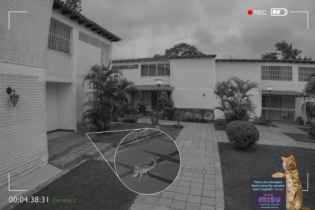 全球创意海报100张,最新创意海报合集值得收藏