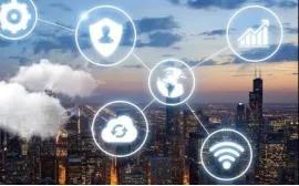 麦家鸿,麦家鸿包