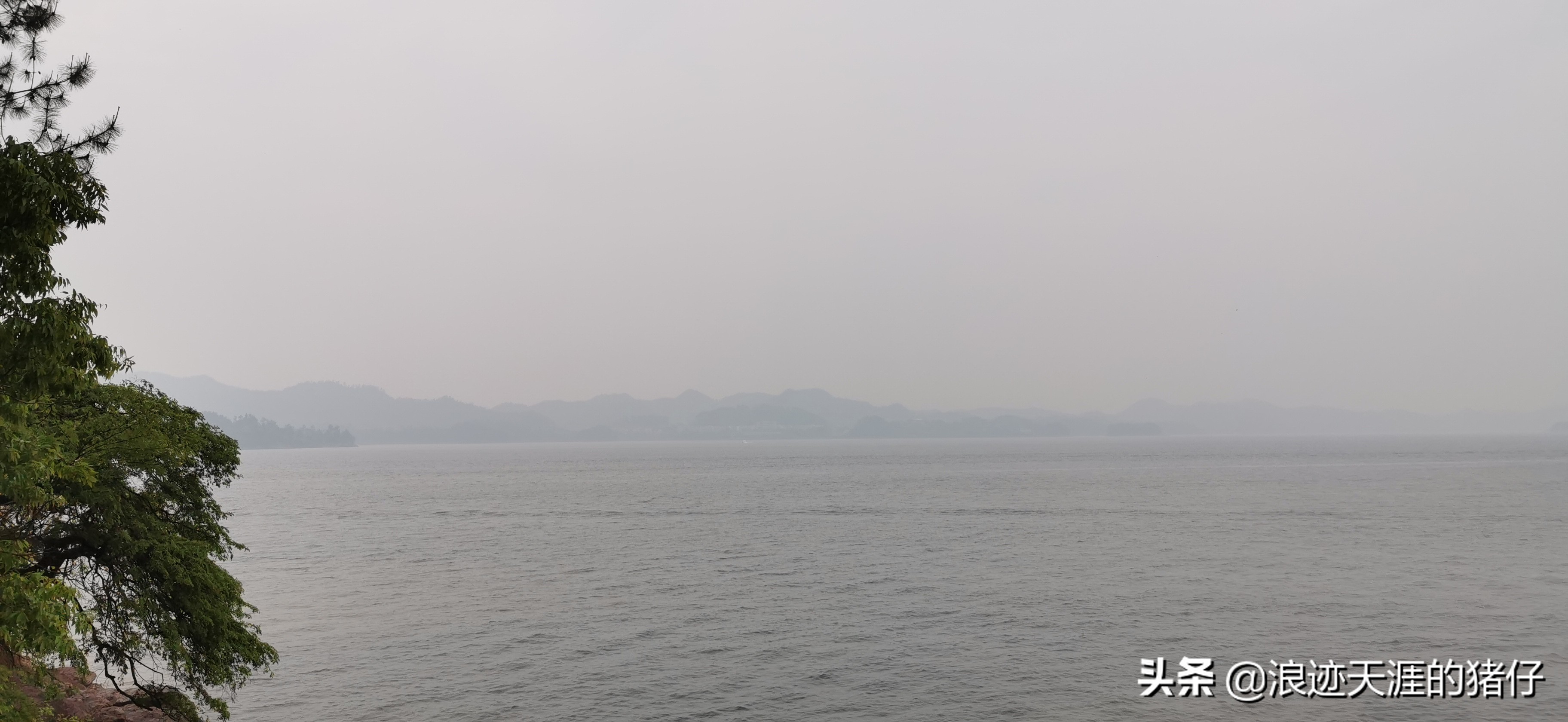 千岛湖疫情政策,千岛湖景区半价优惠