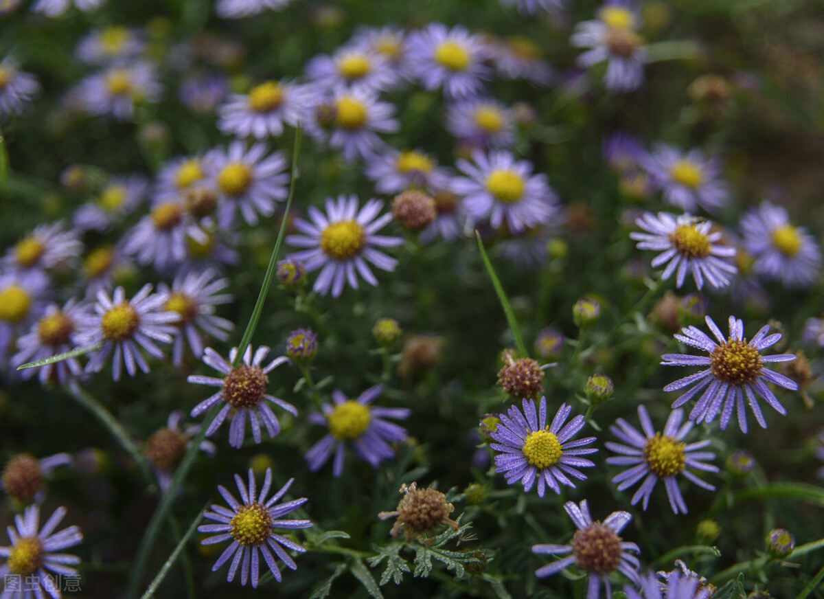 涔旀櫀鏁欐巿璁插骇,涔旀櫀