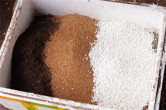 鑺辨埧濮戝澶氳倝閰嶅湡,鑺辨埧濮戝鐜夐湶澶氳倝