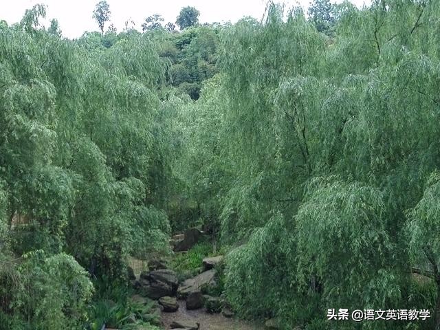 高考文言文重点实词100个例句,文言文120个实词高考技巧