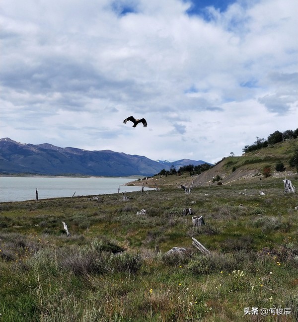 阿根廷莫雷诺大冰川最佳季节,莫雷诺冰川回埃尔卡拉法特时间