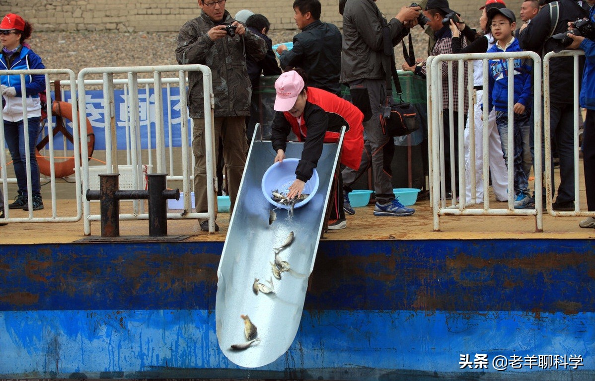 渔民一网捞起价值200万鱼群 (渔民捞到一网鱼价值400万)