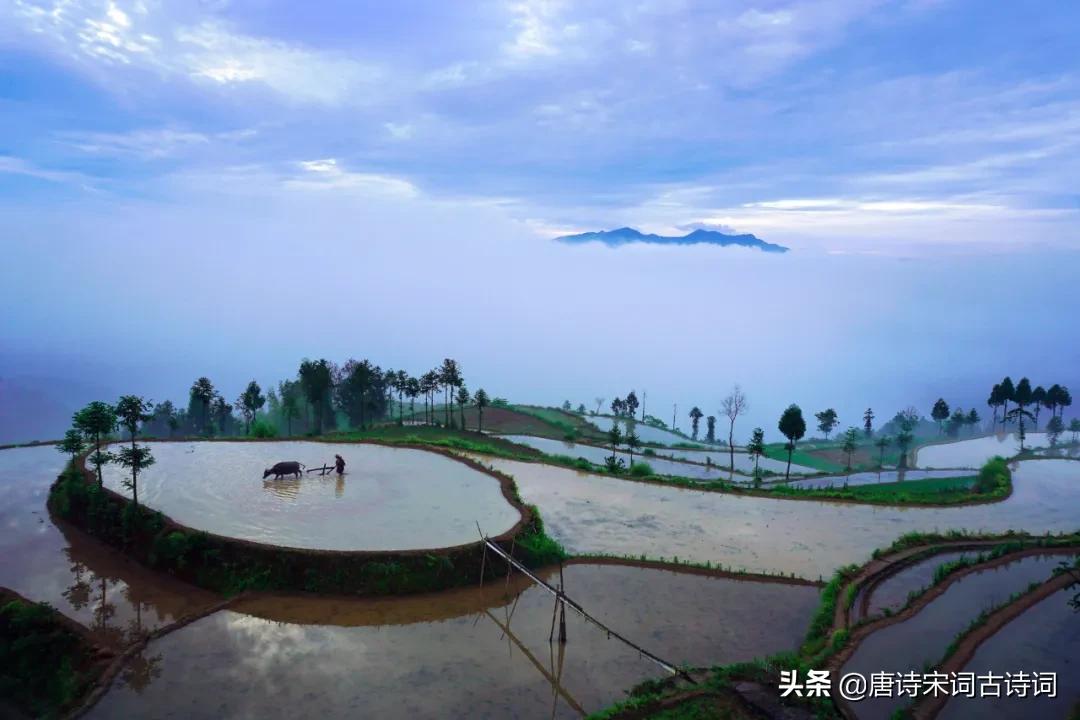 老翁七十犹强健,没膝春泥夜叱牛