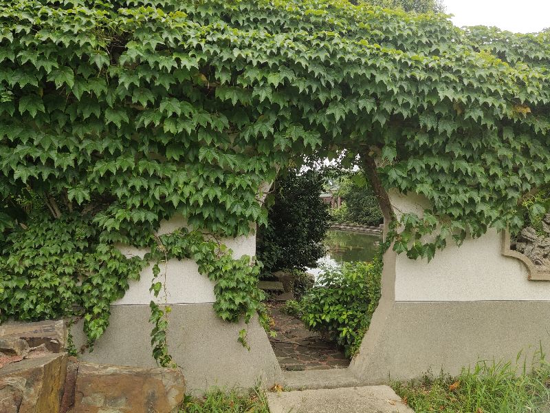 江苏天一度假村法拍,江苏天一度假村董事长