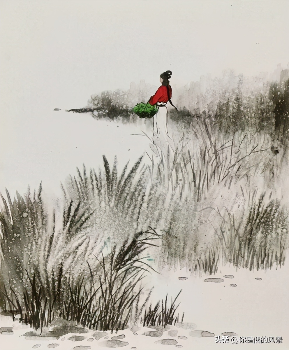 诗经郑风野有蔓草全文,诗经野有蔓草配图