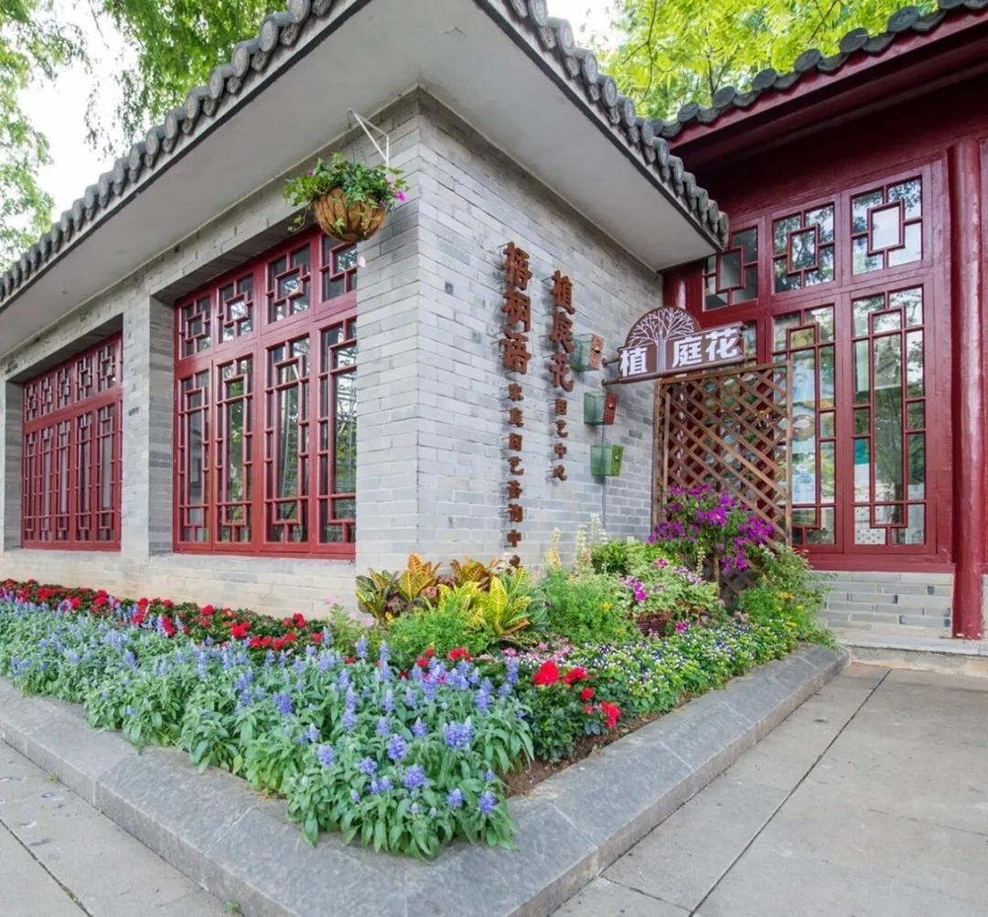 路过南京的地方,路过南京的夜晚