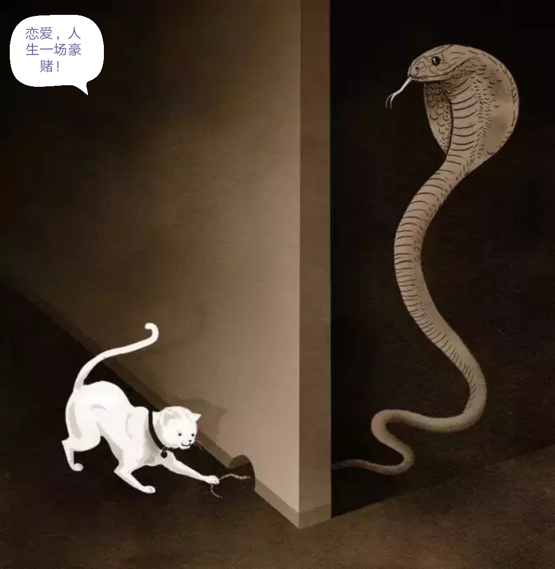 《爱情,人生一场豪赌》等不起—25