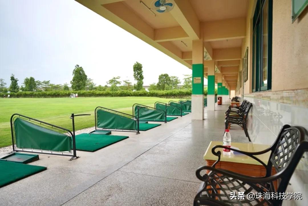 读一所校园环境和学习氛围全方位一流的大学是什么体验？