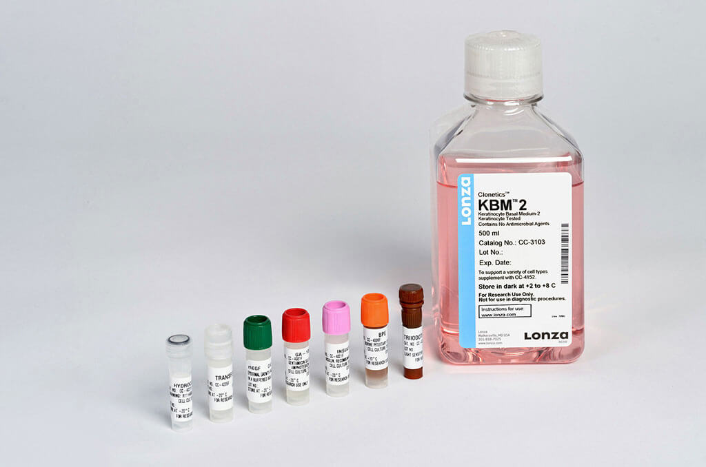 表皮生长因子修复角质层能用多久,表皮角质化细胞