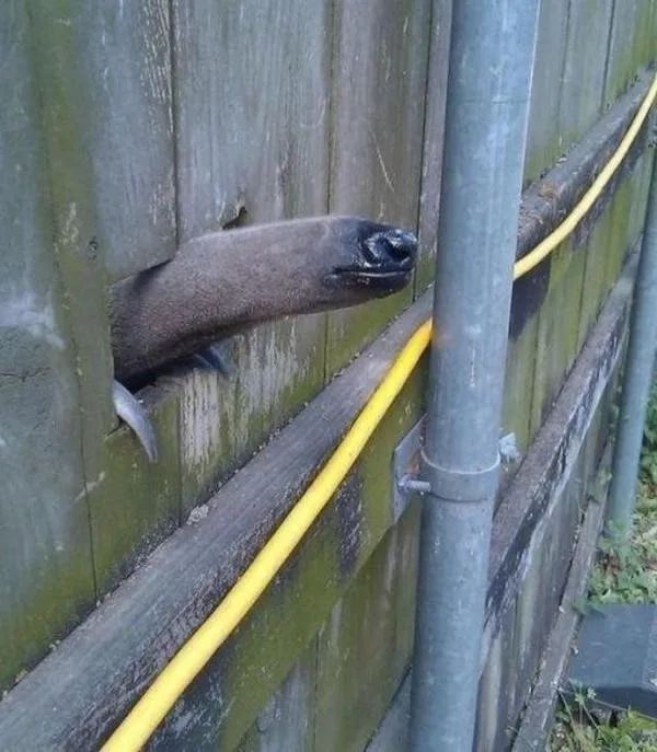 中奖2个亿图片,中奖35元吃火锅