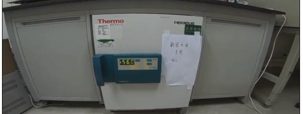 pcr核酸检测技术结果分析,核酸检测方法pcr技术