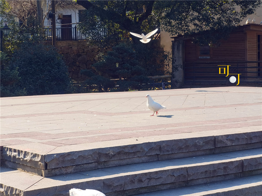 莫干山庾村11月风景,德清元旦哪里好玩