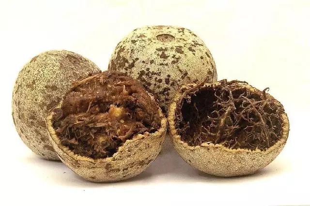 东南亚9大奇葩水果，第3个在中国是爆款！