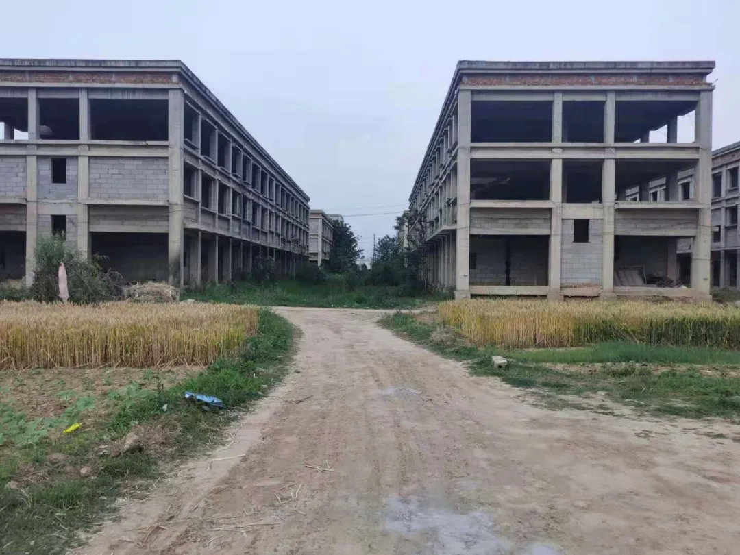 我们坐飞机转火车转老头乐，看到了真实的曹县