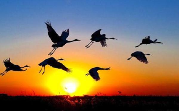 从贫穷变富三大原则,穷人变富的30大忠告