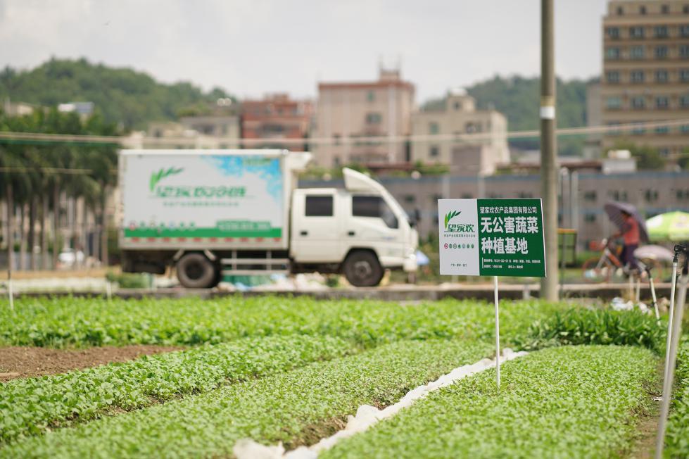 “团餐供应链”迈入高速增长期，望家欢开放平台聚拢全国合伙人