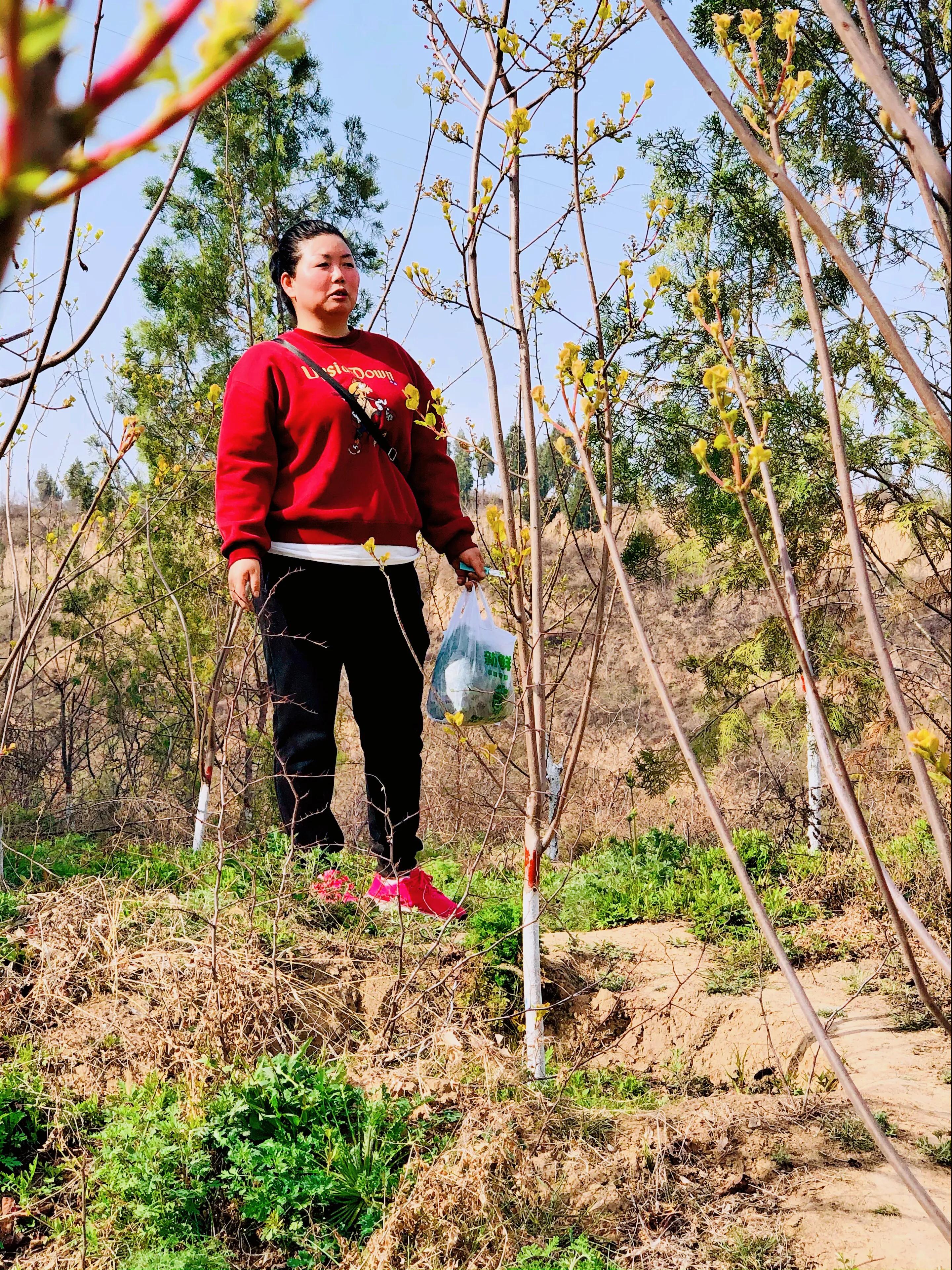 金塘半日游,白鹿原一日游攻略