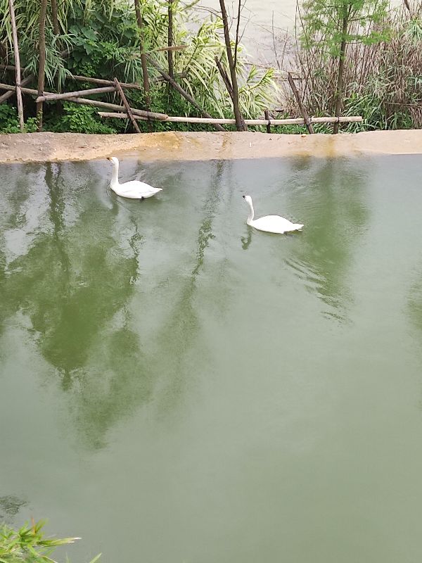 柳州莲花山庄宴会厅,柳州莲花山庄