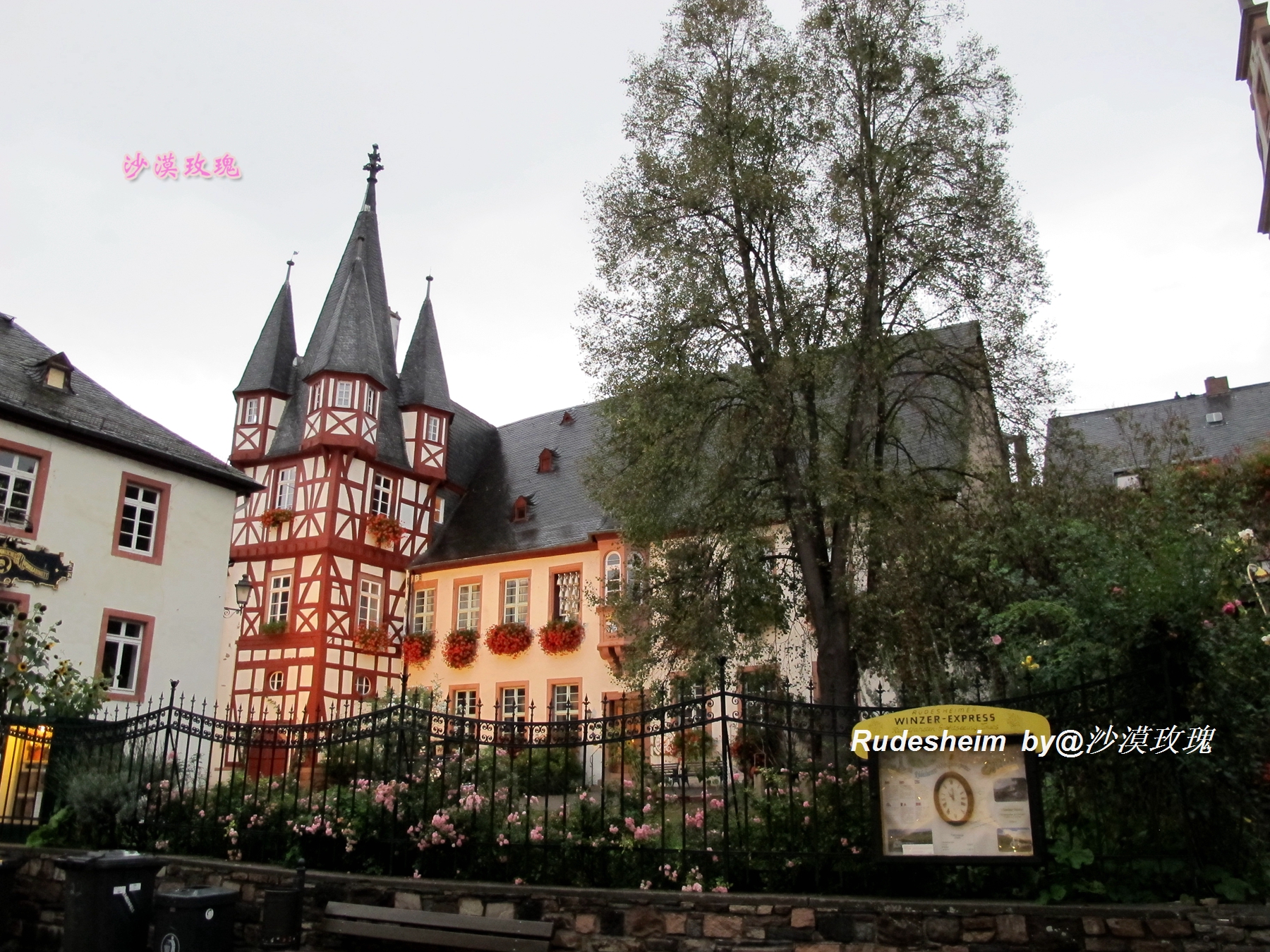 莱茵河葡萄酒小镇,莱茵河畔的葡萄小镇