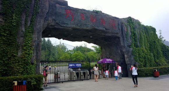 合肥市网红游玩区,合肥网红景点推荐