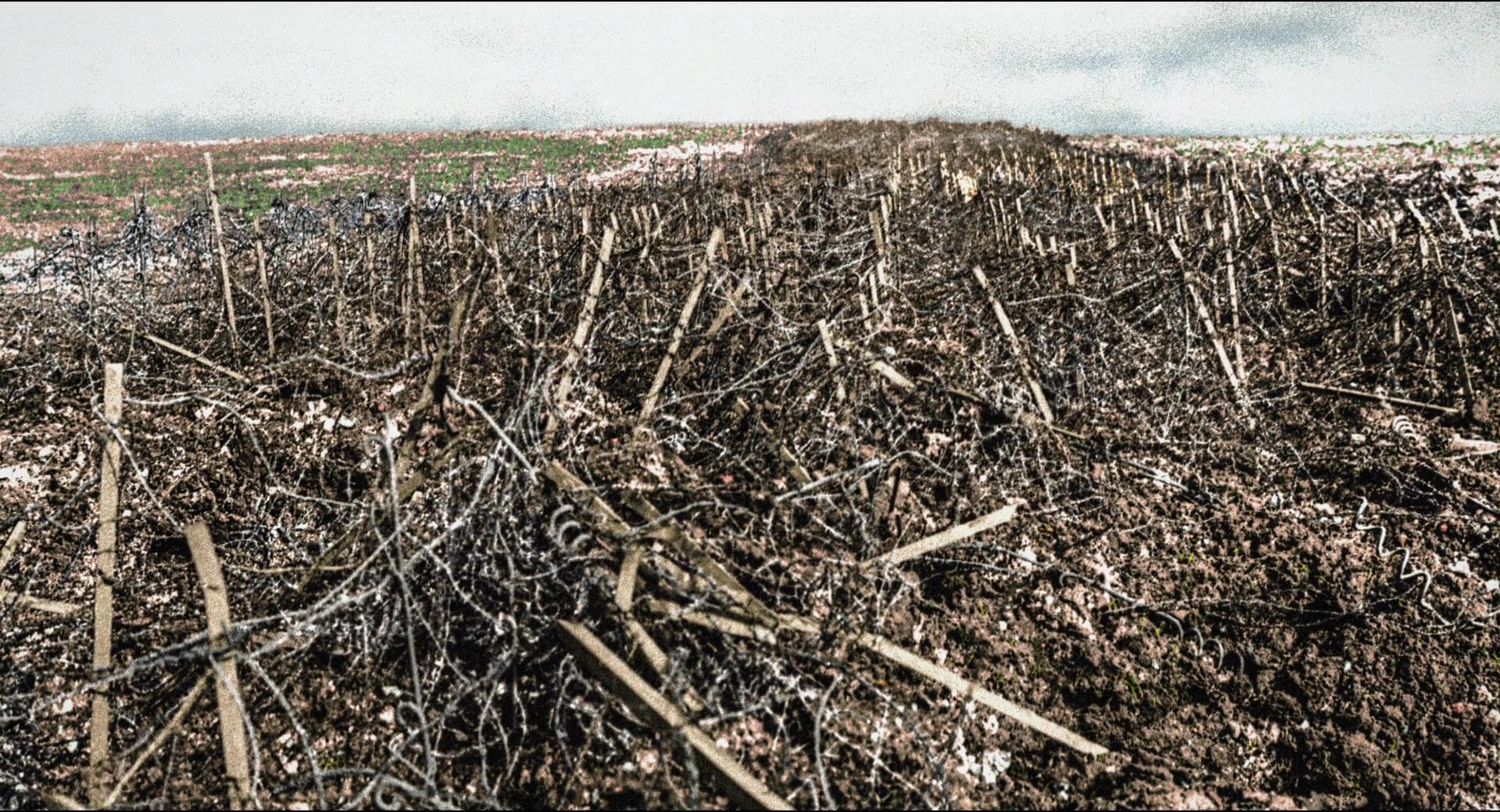 1917最真实的战争片,1917战争电影的细节
