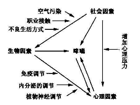 心身医学——现代社会的医学模式