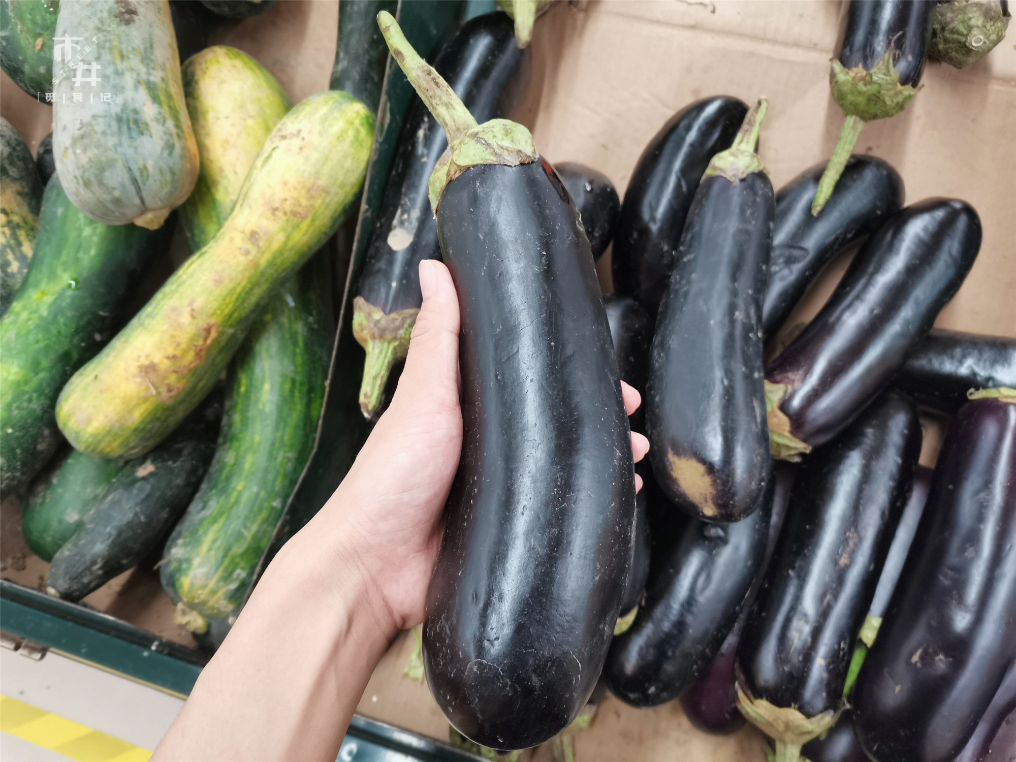 圆茄子和长茄子哪个便宜 (选圆茄子还是长茄子)