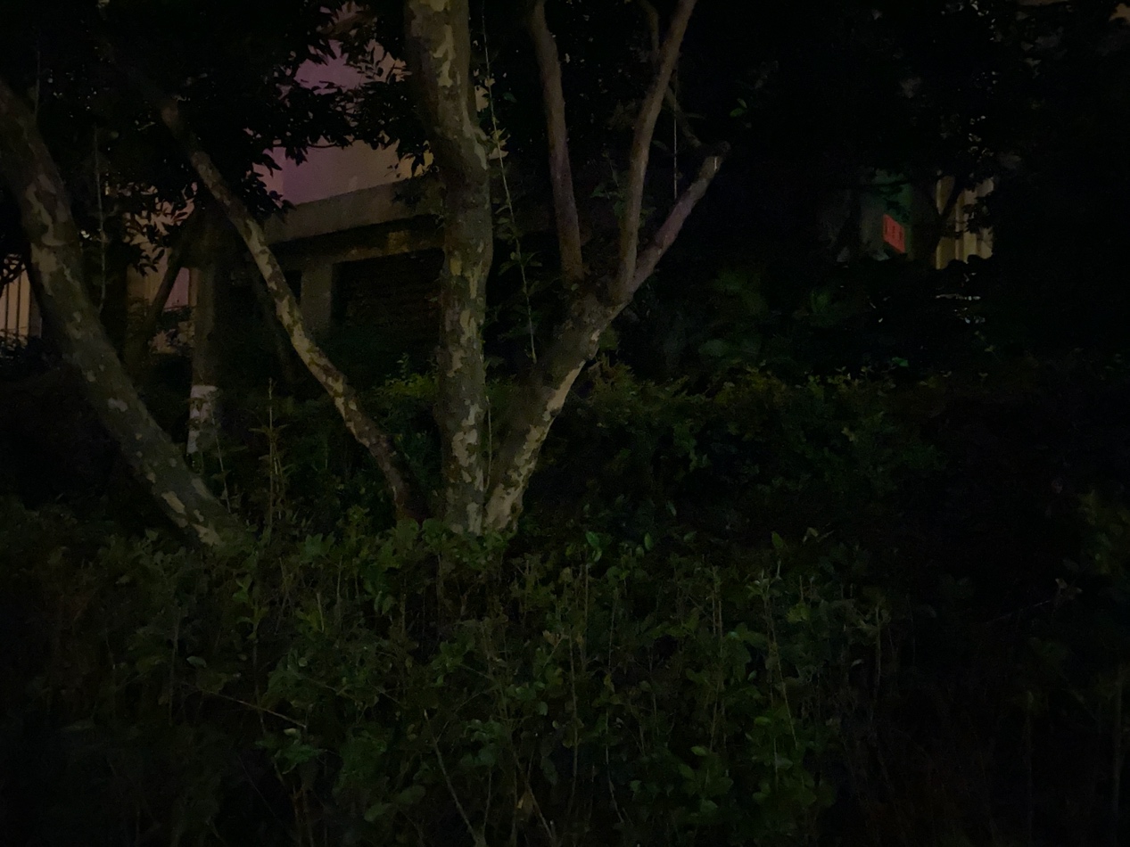 荣耀30pro+对比苹果11pro,荣耀30pro和苹果11视频对比图