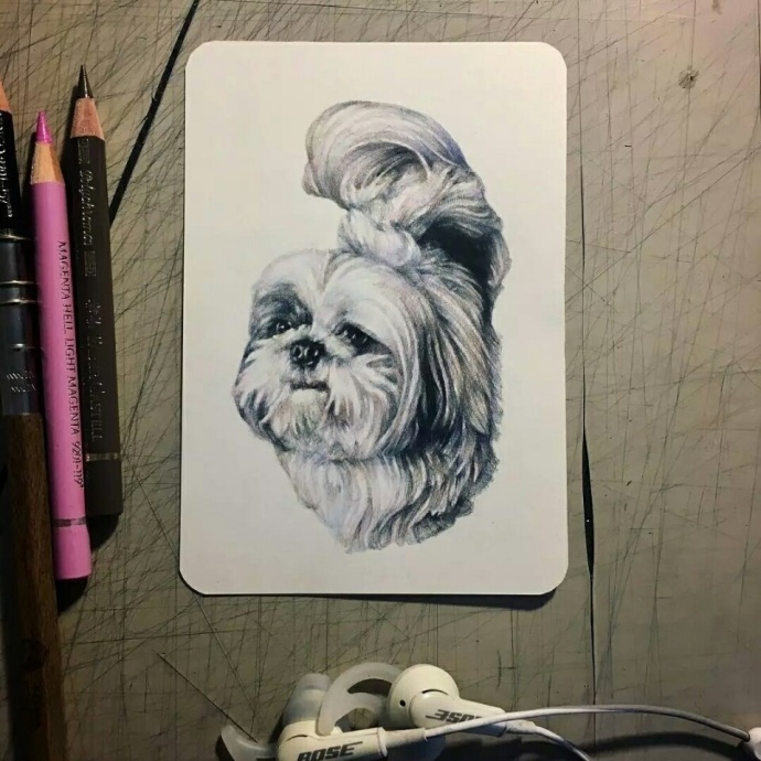 意大利彩铅画家,马可雷诺艺术家彩铅60色