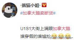 加拿大鹅羽绒服国内专卖店,加拿大鹅羽绒服为什么卖这么贵